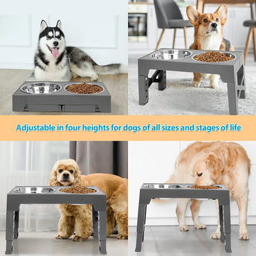 Elevated Dog Feeder Dogs Bowls
