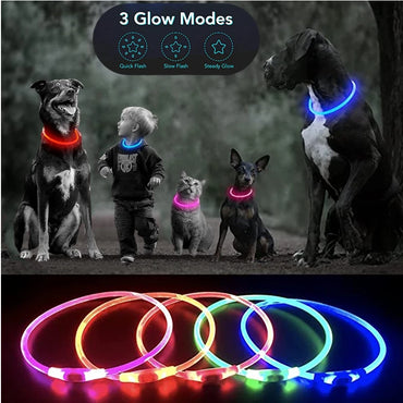 Led Luminous Dog Collar Light