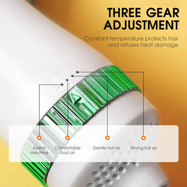 Pet Hair Dryer with Slicker Brush Grooming