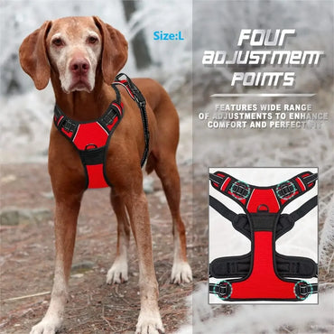 Dog Collars Harness