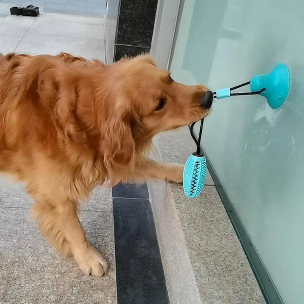 Dog Chew Toys
