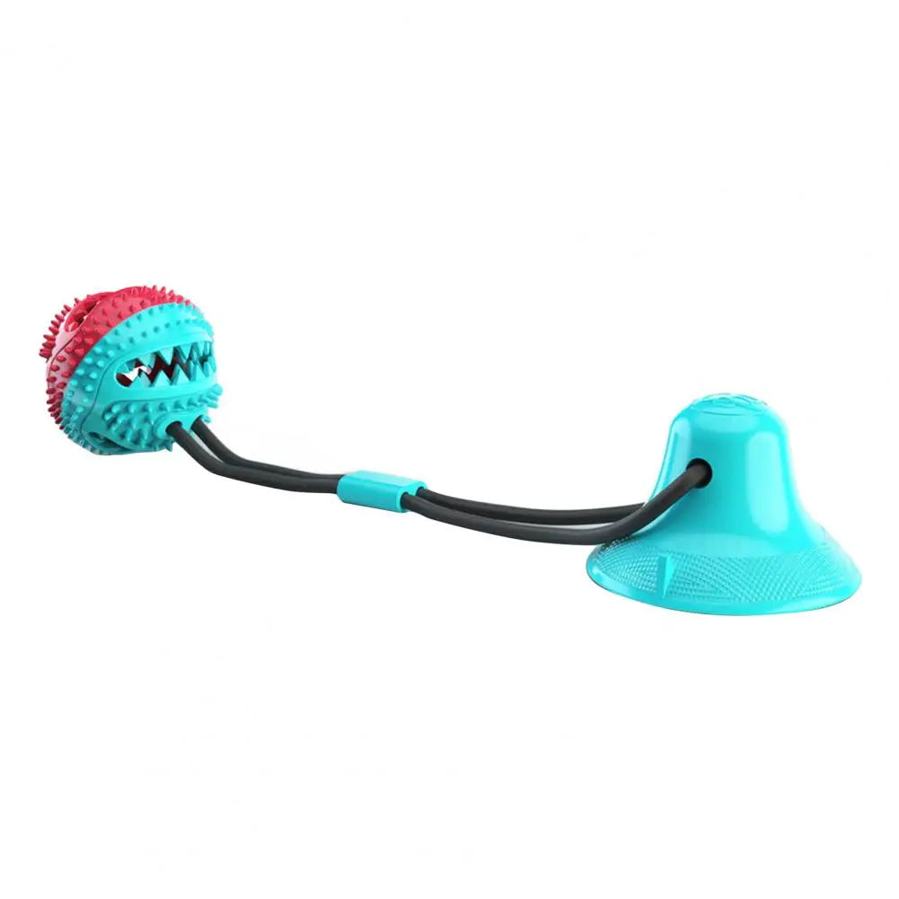 Dog Chew Toys