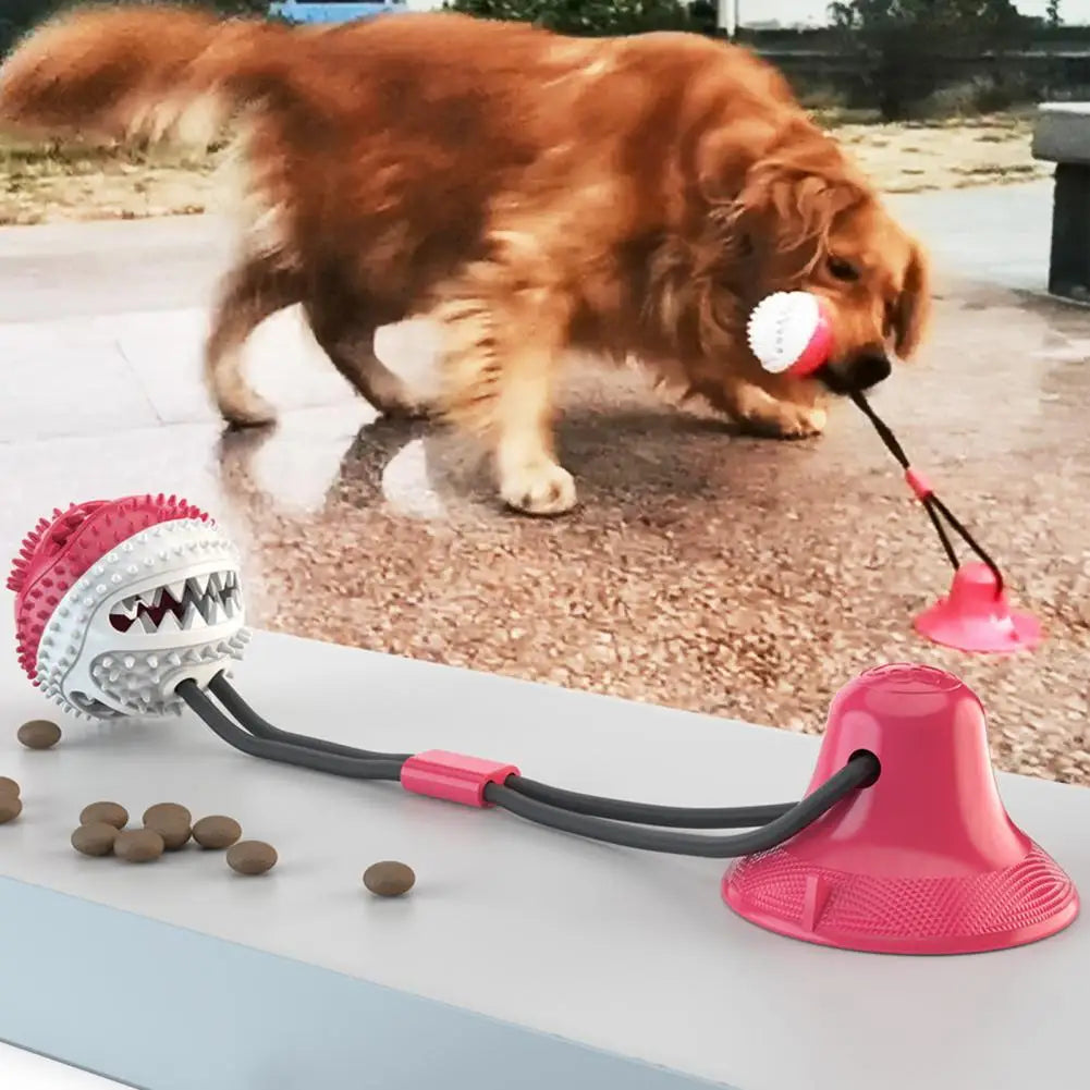 Dog Chew Toys