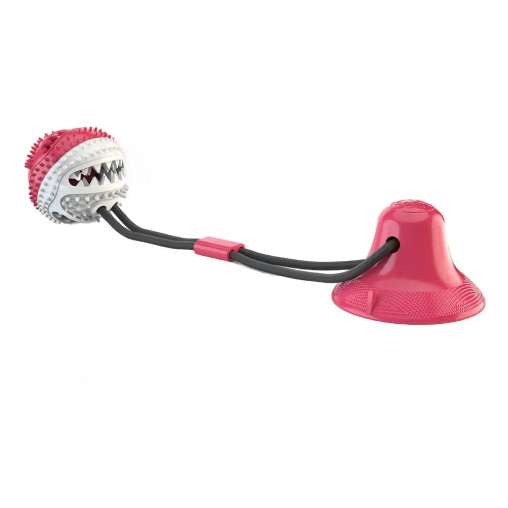 Dog Chew Toys