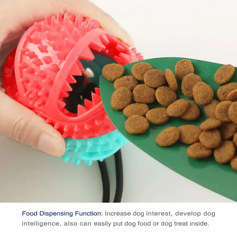 Dog Chew Toys