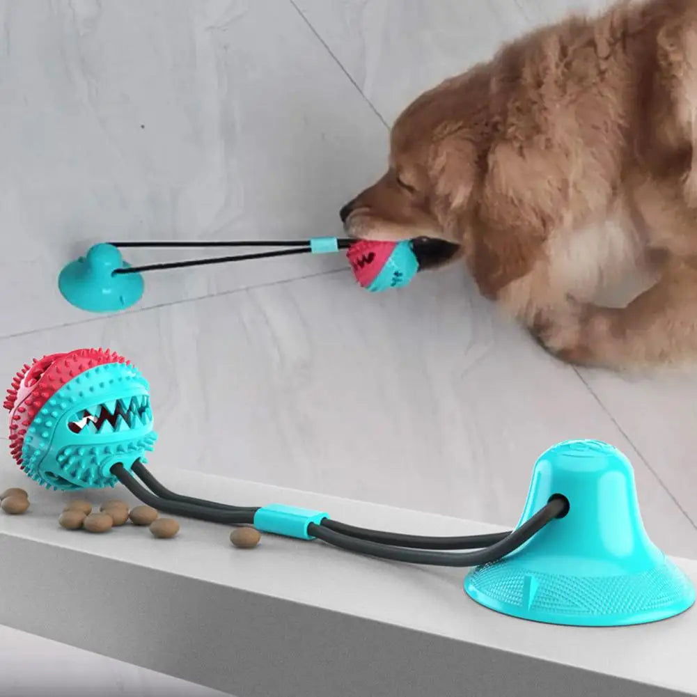 Dog Chew Toys