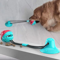 Dog Chew Toys