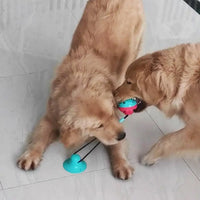 Dog Chew Toys