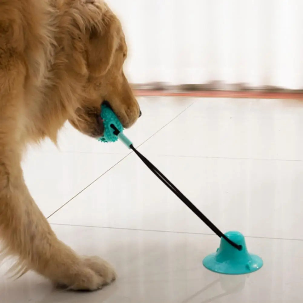 Dog Chew Toys