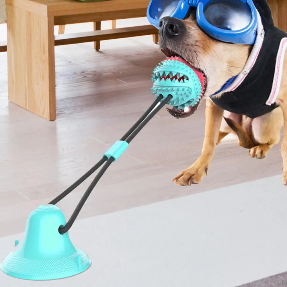 Dog Chew Toys