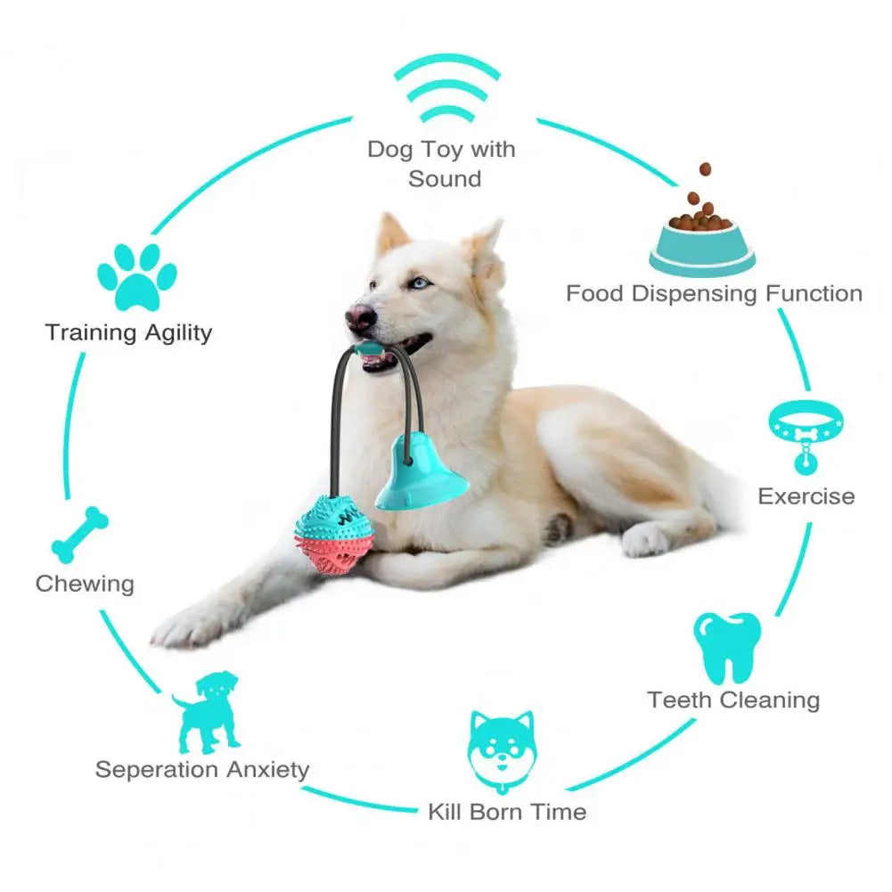 Dog Chew Toys