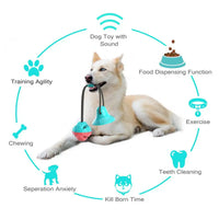 Dog Chew Toys