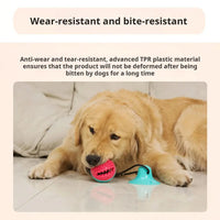 Dog Chew Toys