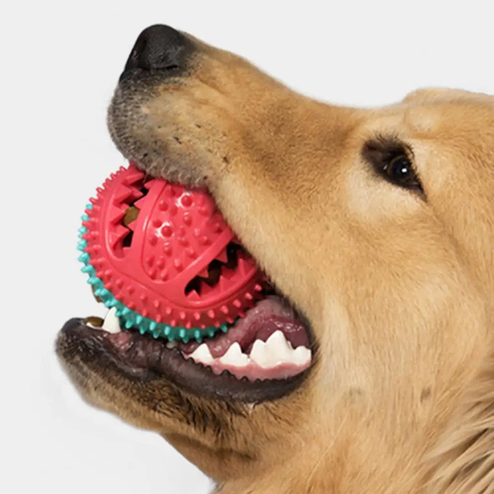 Dog Chew Toys
