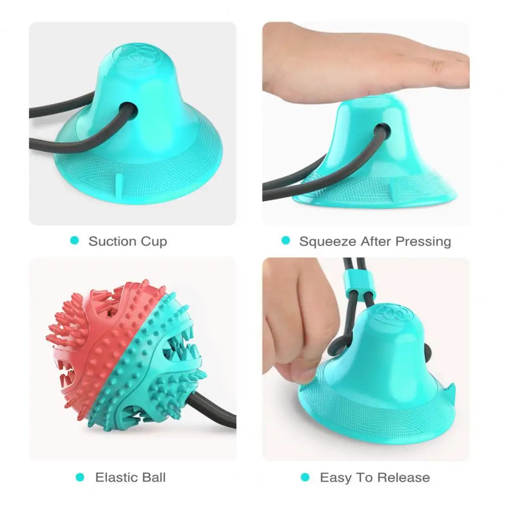Dog Chew Toys