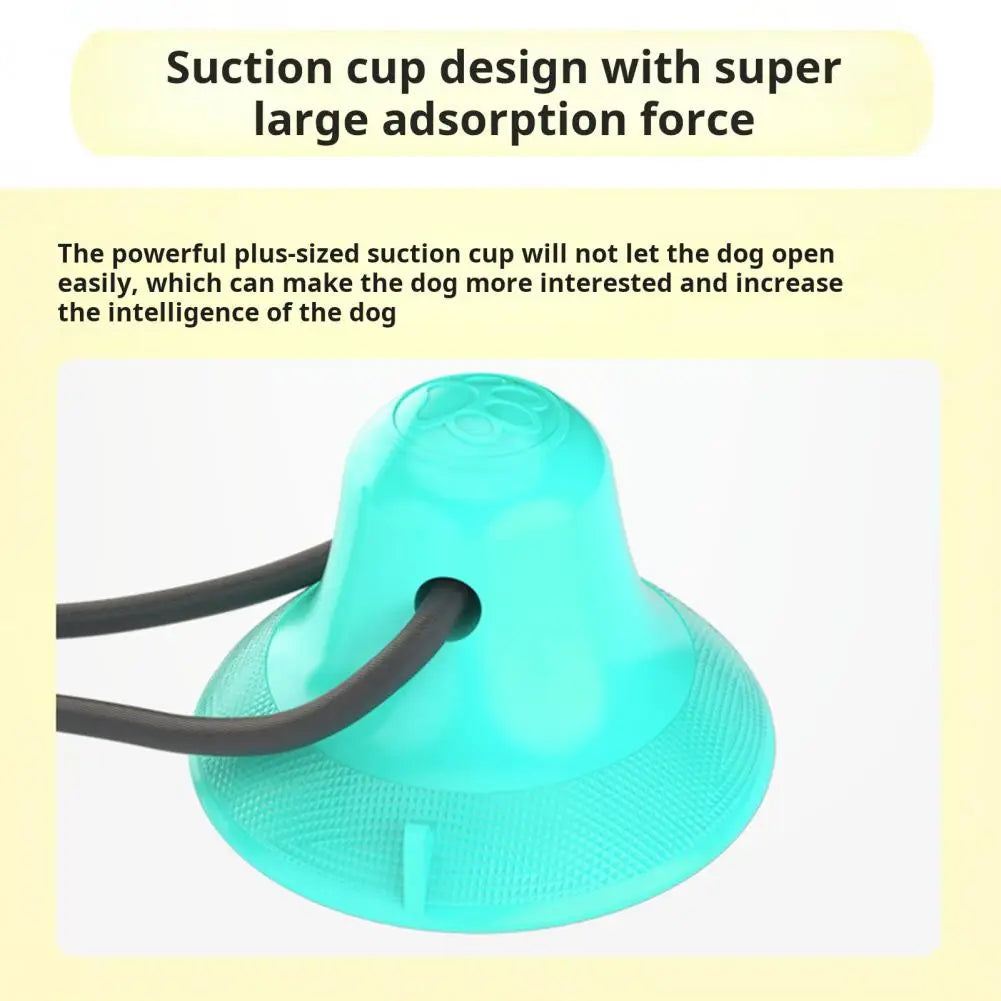 Dog Chew Toys