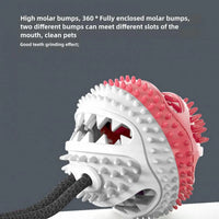 Dog Chew Toys