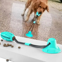 Dog Chew Toys