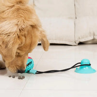 Dog Chew Toys