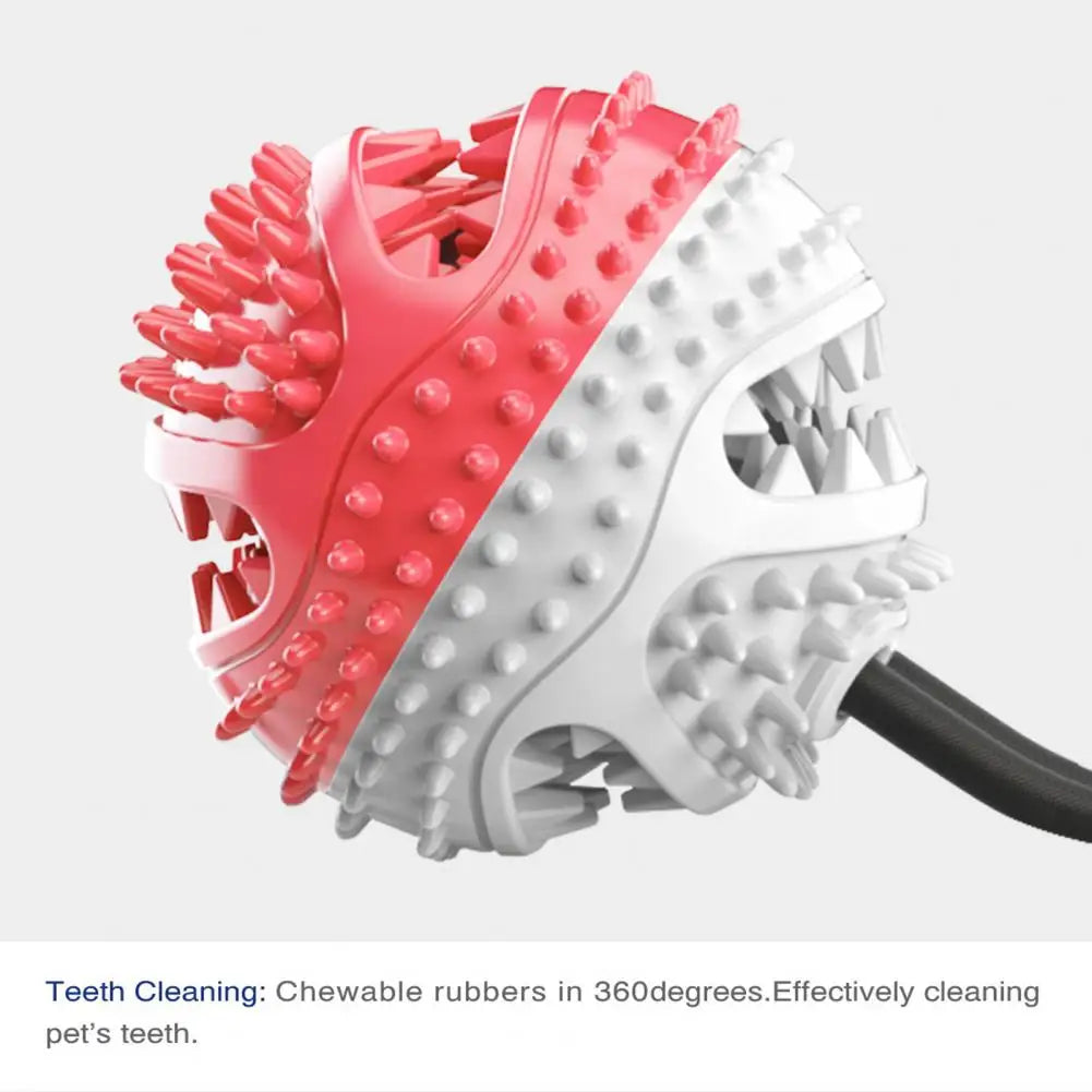 Dog Chew Toys