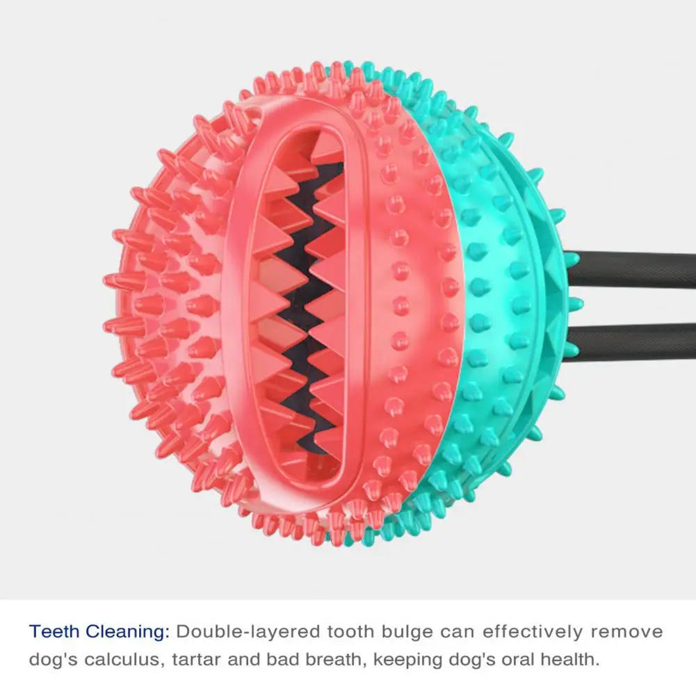 Dog Chew Toys