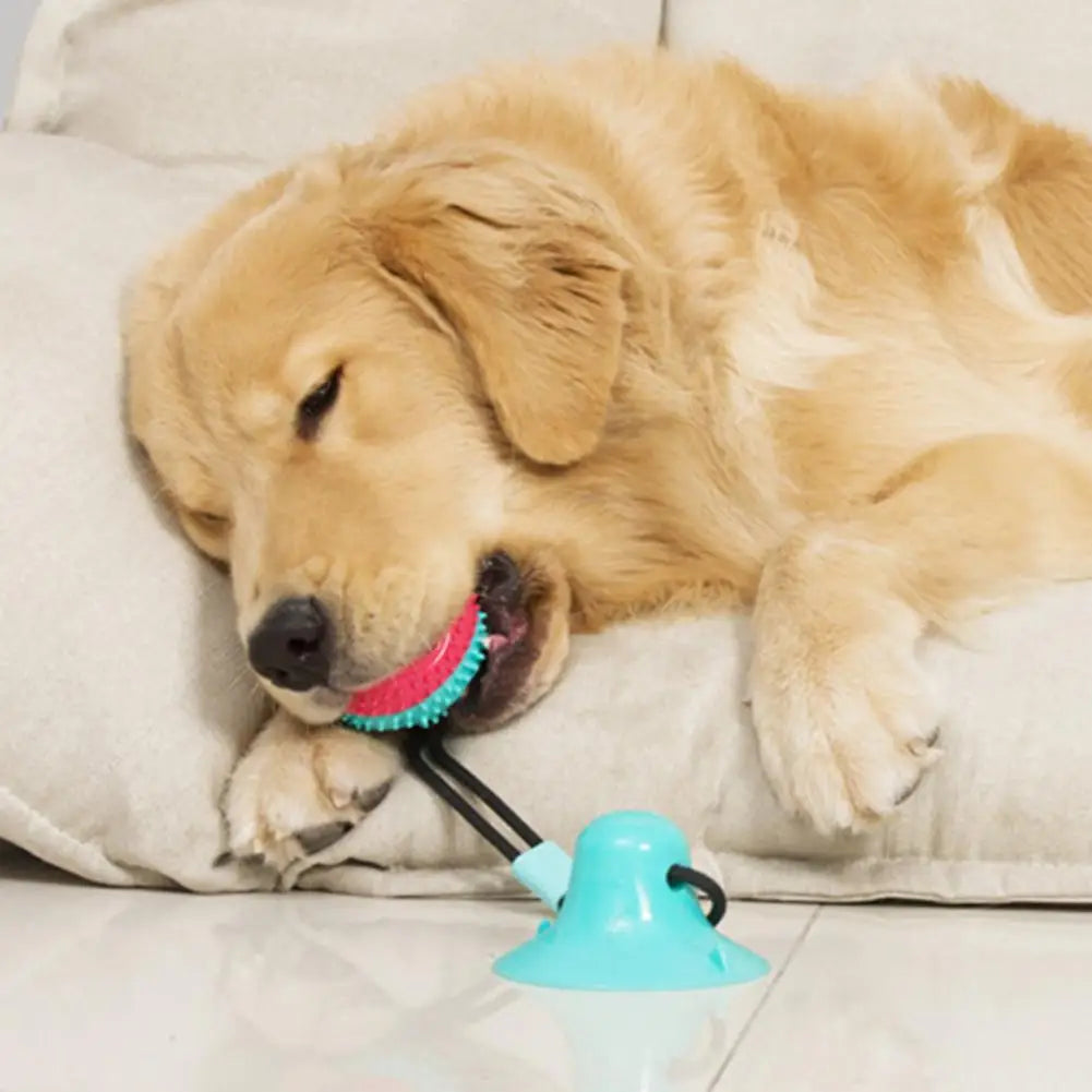 Dog Chew Toys