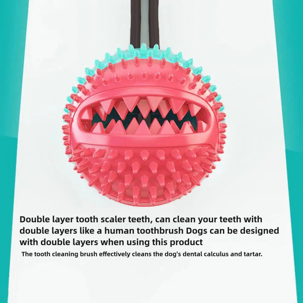 Dog Chew Toys