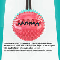 Dog Chew Toys