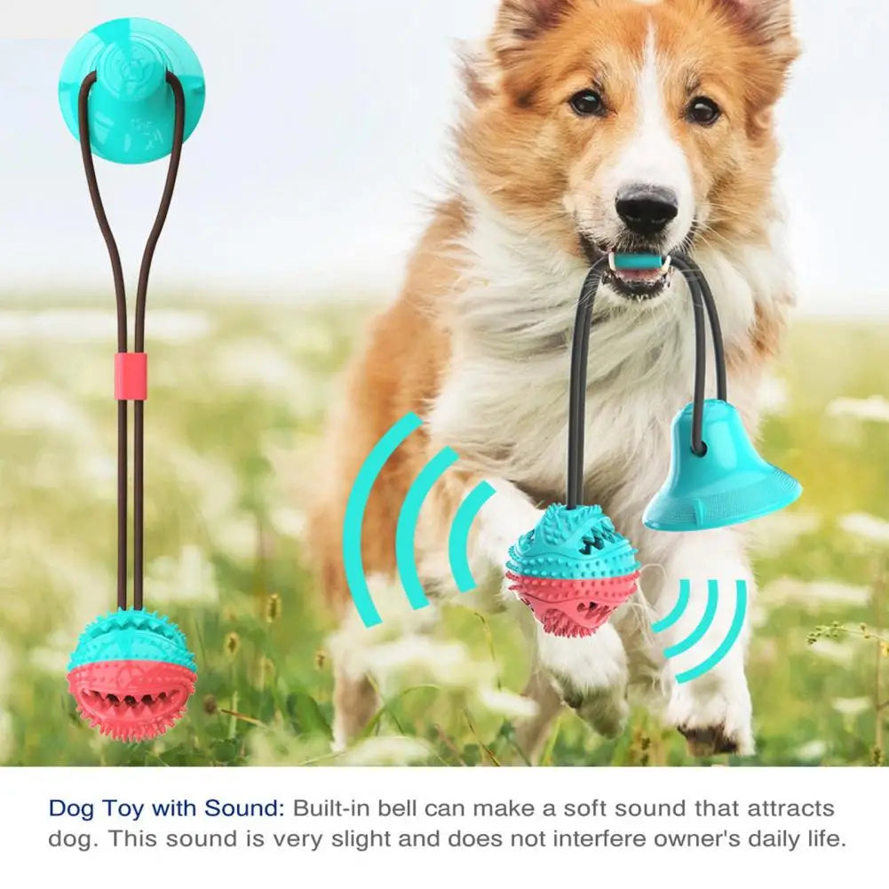 Dog Chew Toys