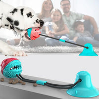 Dog Chew Toys