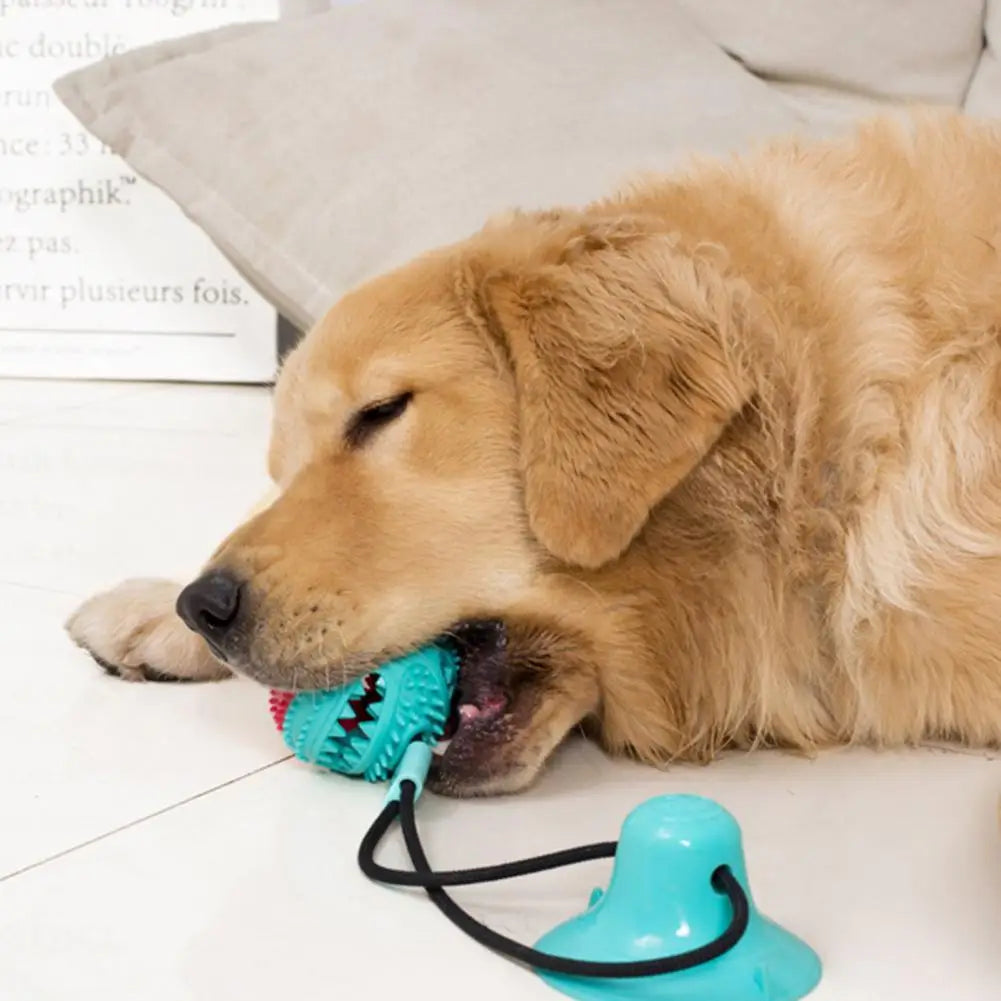 Dog Chew Toys